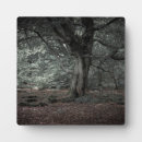 Recherche de fantaisie plaques Mystique