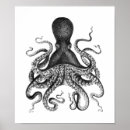 Recherche de poulpe noir et blanc posters Océan