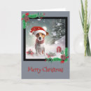 Recherche de chiot de terrier de russell Enfants