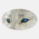 Recherche de yeux de loup autocollants Chien