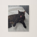 Recherche de cute tortoise Animal