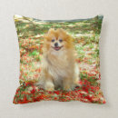 Recherche de pomeranian coussins Chiot