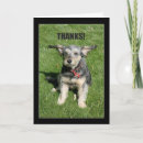 Recherche de sans abri vœux cartes Dog