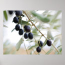 Recherche de jardin olive posters Fruit