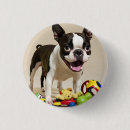 Recherche de chien de terrier badges Dog