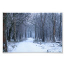 Recherche de jacinthe des bois posters Arbres