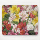 Recherche de amaryllis tapis souris Floral