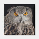 Recherche de aigles magnets Dessin