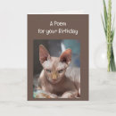 Recherche de poème d anniversaire cartes Chat