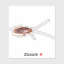 Recherche de insects voiture autocollants Bogues