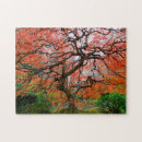 Recherche de arbre japonais puzzles Automne