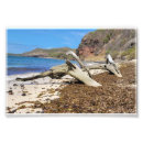 Recherche de troncs posters Nature