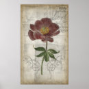 Recherche de cartouche posters Fleurs