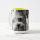 Recherche de terrier yorkshire tasses Dog