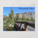 Recherche de mamouth cartes postales Californie