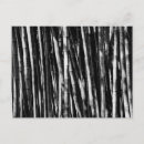 Recherche de bambou cartes postales Plante