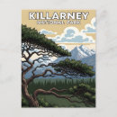 Recherche de killarney cartes postales Vintage