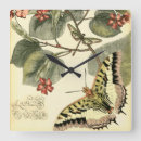 Recherche de fleur rouge horloges Botanique