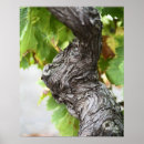 Recherche de languedoc rousillon posters Europe