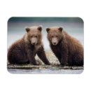 Recherche de deux animaux magnets Jeune animal