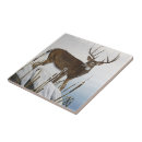 Recherche de cerfs communs de queue maison deco Cerf de virginie
