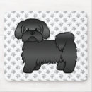Recherche de shih tapis souris Chien