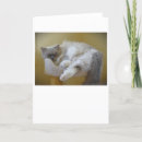 Recherche de lenteur vœux cartes Animal