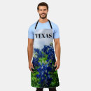 Recherche de texas bluebonnet Lupine