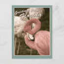 Recherche de salutations floride cartes postales Tropical