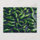 Recherche de jalapenos cartes postales Chili