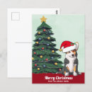 Recherche de corgi cartes postales Pembroke