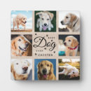 Recherche de sympathie plaques Garde