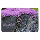 Recherche de jardins magnets Pour elle