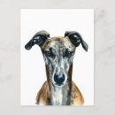 Recherche de greyhound posters Voyant
