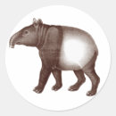 Recherche de tapir autocollants Animaux