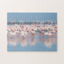 Recherche de namibie puzzles Afrique