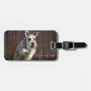 Recherche de miniature schnauzer accessoires Mignon