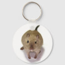 Recherche de gerbille accessoires Animaux