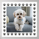Recherche de patte de chien posters Pour enfants