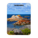 Recherche de savane magnets Nature
