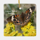 Recherche de papillons ornements Pour tous