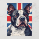 Recherche de staffordshire bull terrier cartes postales Animal de compagnie