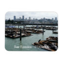 Recherche de otarie magnets Toute personne