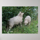 Recherche de avide posters Manger