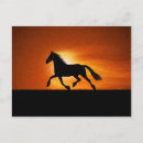 Recherche de troie cartes postales Cheval