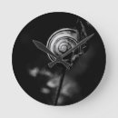 Recherche de escargots horloges Nature