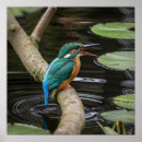 Recherche de pêcheur art Faune