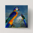 Recherche de oiseaux tropicaux badges Animaux mignons
