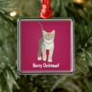 Recherche de chatons ornements Pour enfants