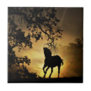 Recherche de beau coucher du soleil carreaux Cheval